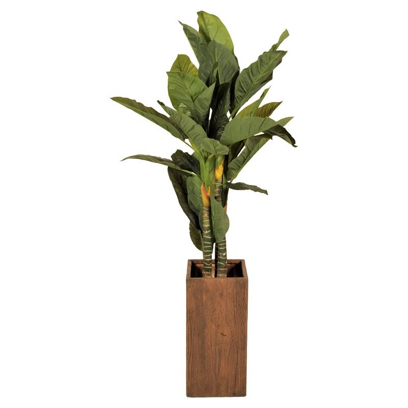 Decoratie huren | Kunst Spathiphyllum