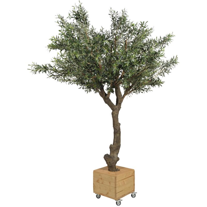 Decoratie huren | Kunst olijfboom